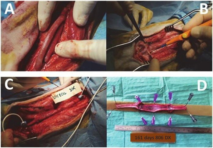 pracoviste/12105/Composite-Blood-Vessel/Fig5.jpg